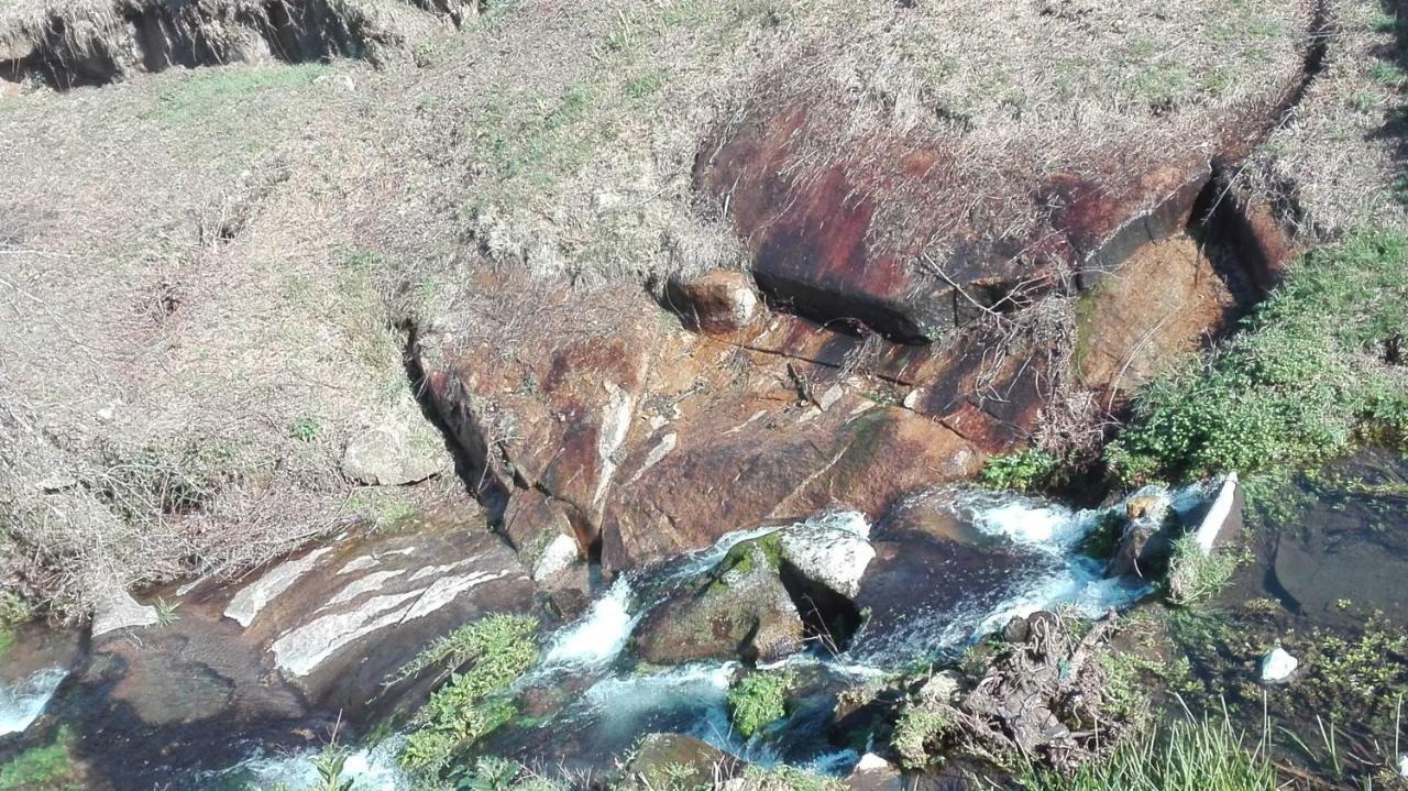 Quinta De Alvarenga Buitenkant foto